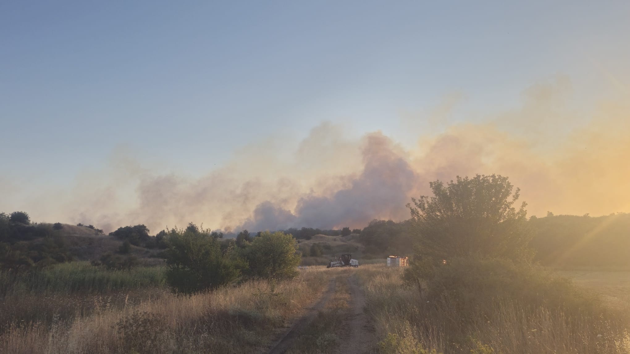 Tekirdağ'da çıkan orman yangınında bilanço açıklandı