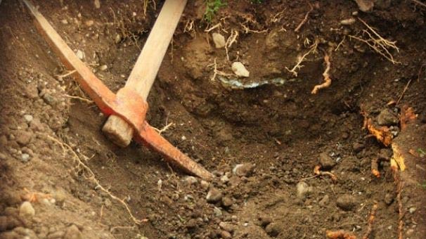 Tekirdağ'da define aramak için askeri yasak bölgeye girdiler!