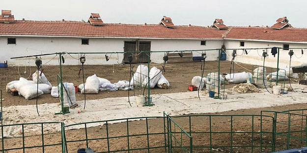 11 işçi akıma kapıldı: Ölü ve yaralılar var