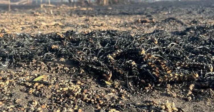 Tekirdağ’da felaket gibi yangın! 1500 dönüm tarım arazisi kül oldu