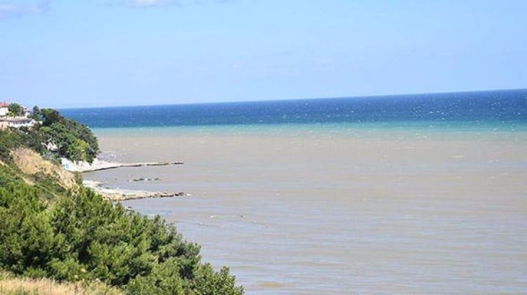 Tekirdağ'da korkunç görüntü! Bu hale geldi