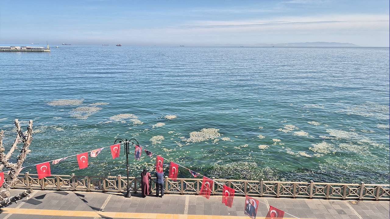 Tekirdağ’da korkutan görüntü: Müsilaj geri mi dönüyor?