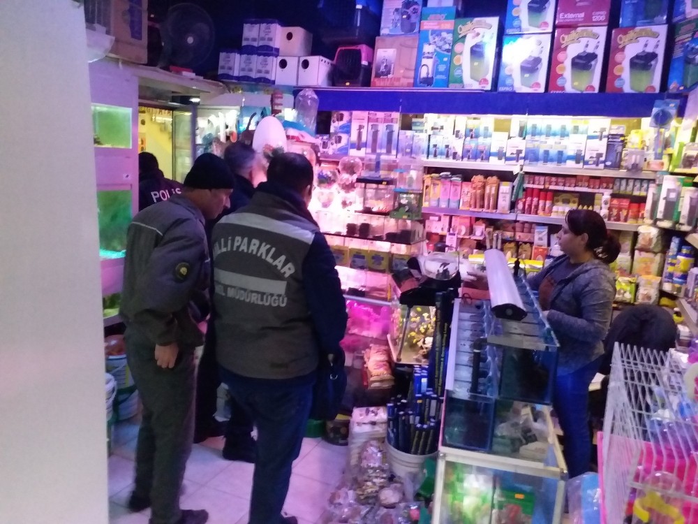 Tekirdağ’da nesli tehlikedeki türler için denetimler yapıldı 