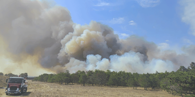 Tekirdağ'da orman yangını