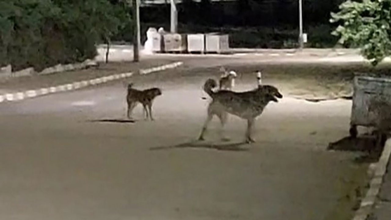Tekirdağ'da OSB çalışanları tedirgin