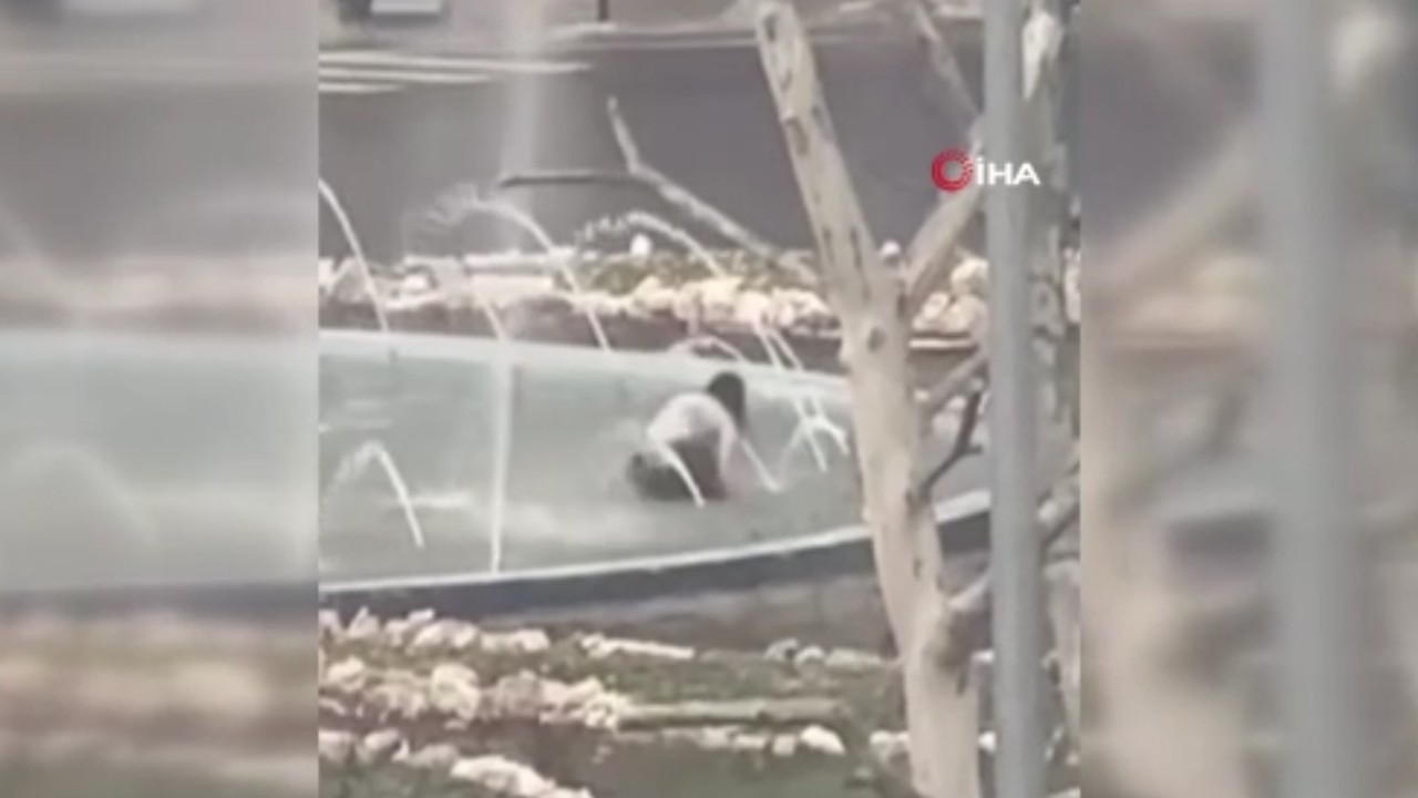 Tekirdağ’da şaşırtan görüntü! Dondurucu soğukta süs havuzuna girdiler