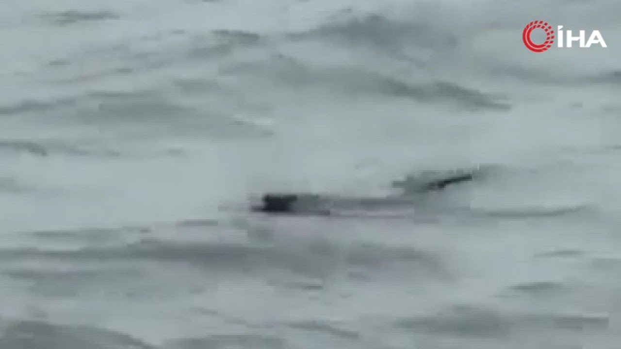 Tekirdağ'da sevimli misafir