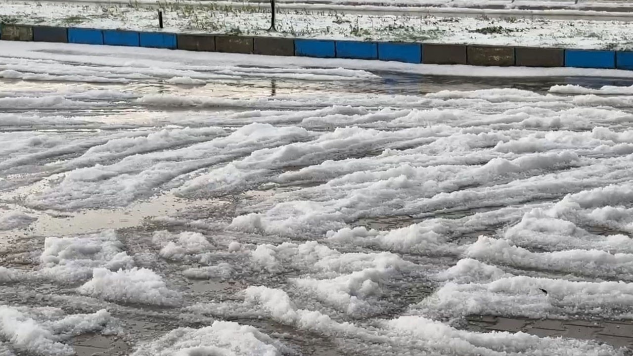 Tekirdağ'da şok eden görüntü