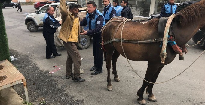 Tekirdağ'da trafiği tehlikeye atan at arabaları toplandı