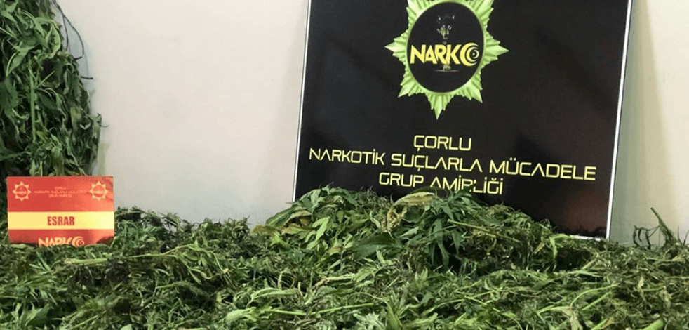 Tekirdağ’da uyuşturucu operasyonu: 19 kilo esrar ve kenevir bitkisi ele geçirildi