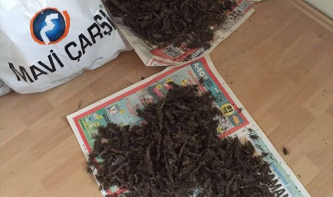 Tekirdağ’da uyuşturucu operasyonu