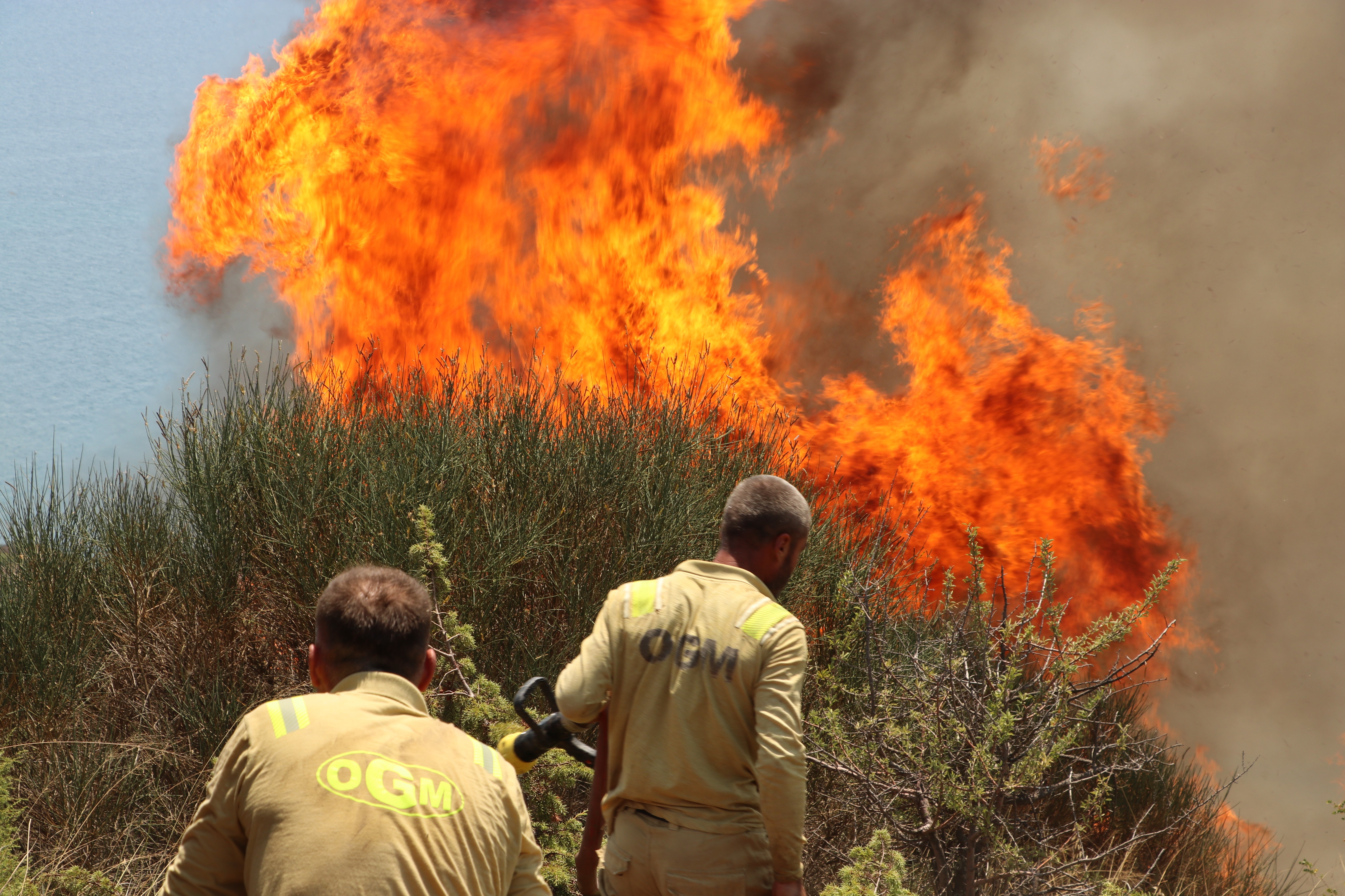 Tekirdağ’da yangın! Havadan ve karadan müdahale ediliyor