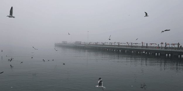Tekirdağ'da yoğun sis
