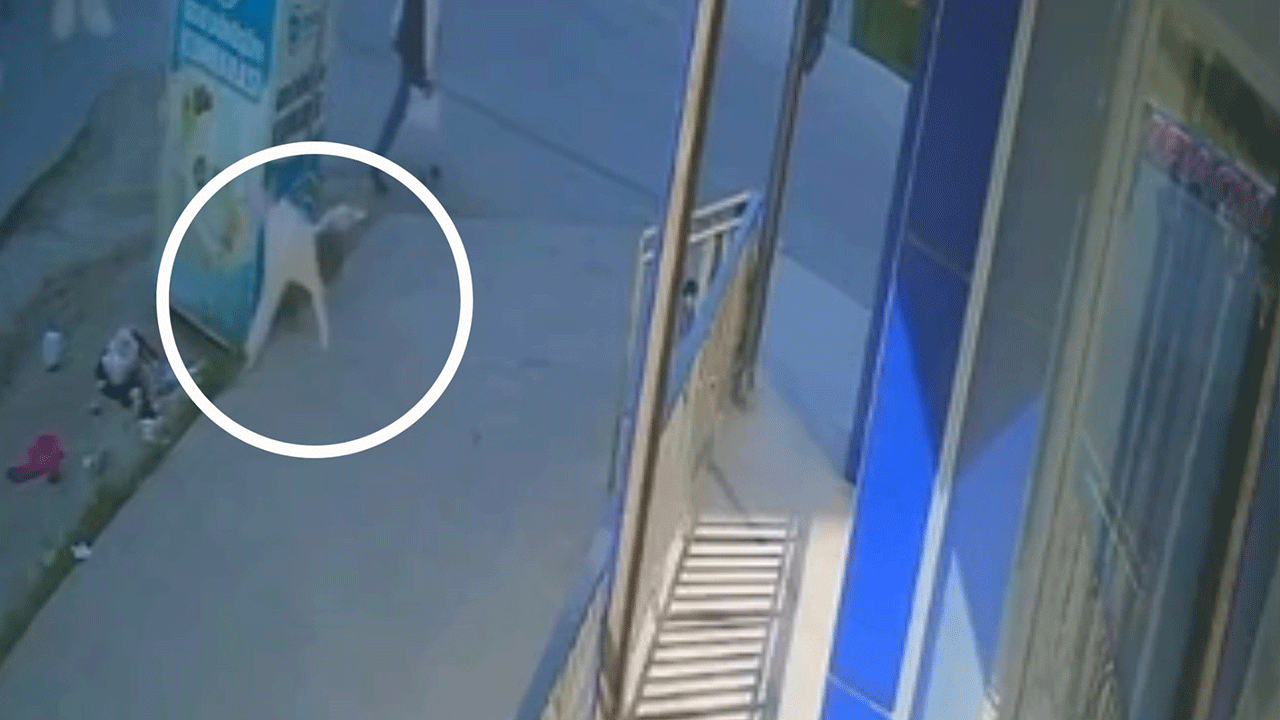 Tekirdağ’da yürekleri dağlayan olay! 1 yaşındaki bebek 5. kattan düştü