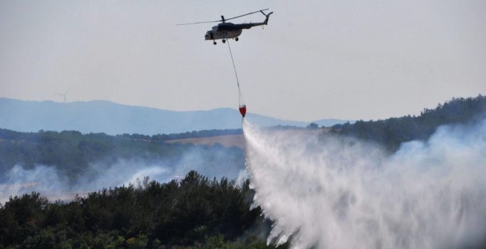 Tekirdağ'daki orman yangını 4 saatte kontrol altına alınabildi