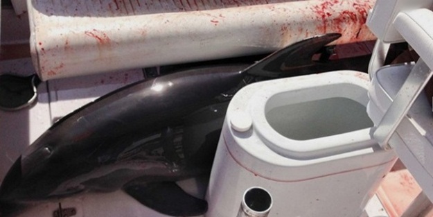 Teknede korku dolu anlar