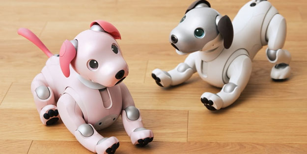 Teknoloji devi yaşlanan robotlara bakacak kişiler arıyor