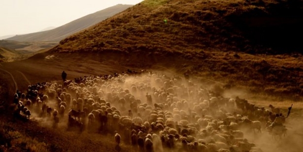 Teksas değil 'Bitlis' - FOTO