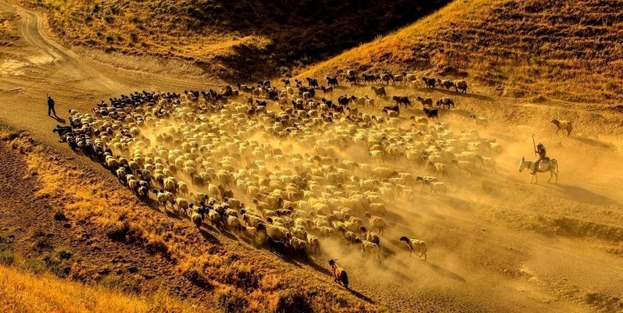 Teksas değil, Bitlis!