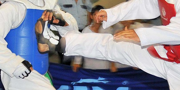 Tekvando: 2016 Rio Olimpiyat Oyunları Avrupa Kıtası ...