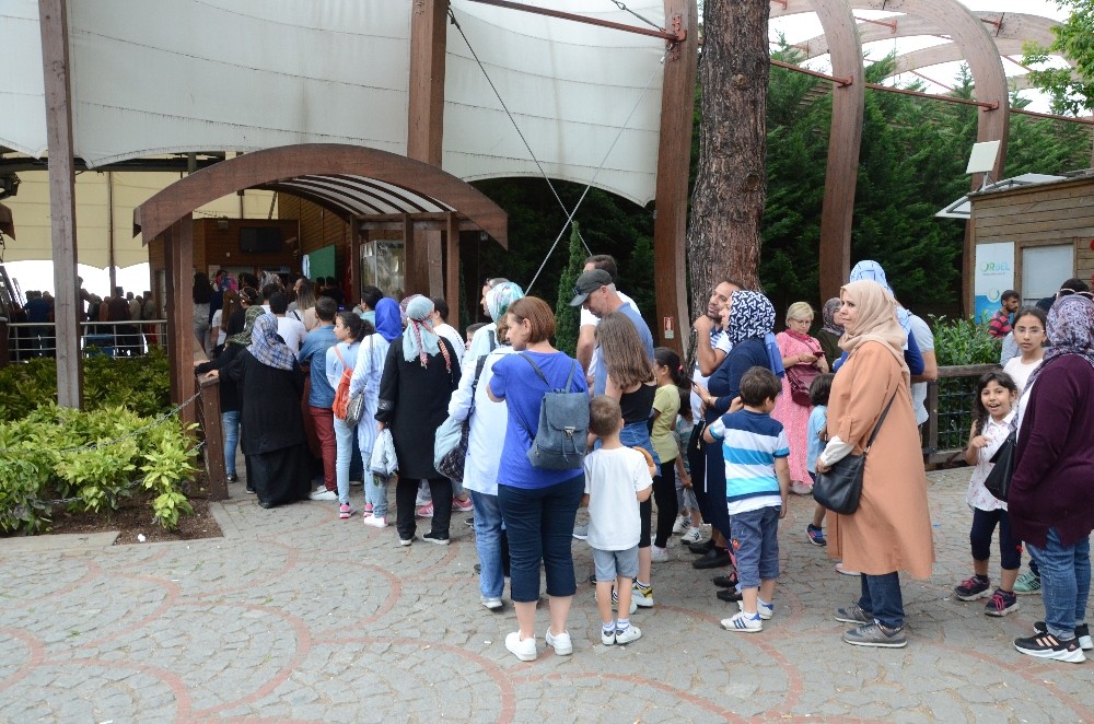Teleferik için kuyruk oluştu, 40 bin yolcu taşındı 