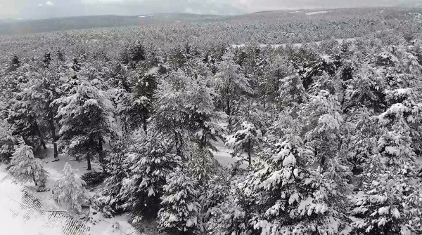 Telefonlarınız için ekran görüntüsü mü istiyorsunuz? İşte, kartpostallık kareler