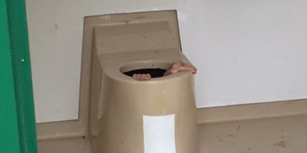 Akıllı telefon yüzünden klozete sıkıştı