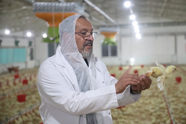 Televizyon ekranlarını bırakıp çiftlik kurdu