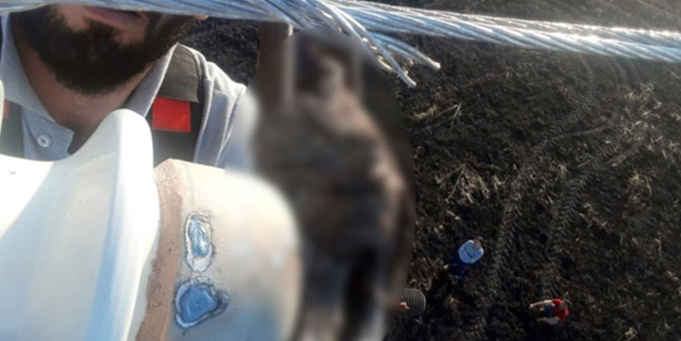 Tellere takıldı 20 dönümlük tarla kül oldu!