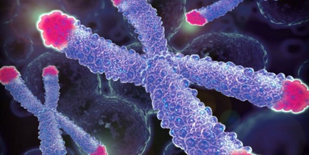 Telomer tedavisi nedir, nasıl yapılır?