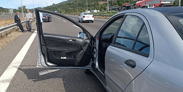 TEM Otoyolu'nda köpek kazası! 1 ölü...