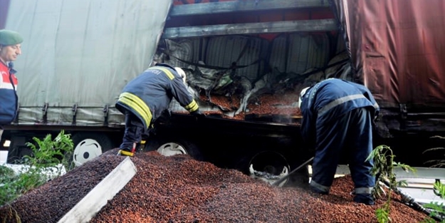 TEM otoyolunda TIR yangını! 2 ton fındık yandı