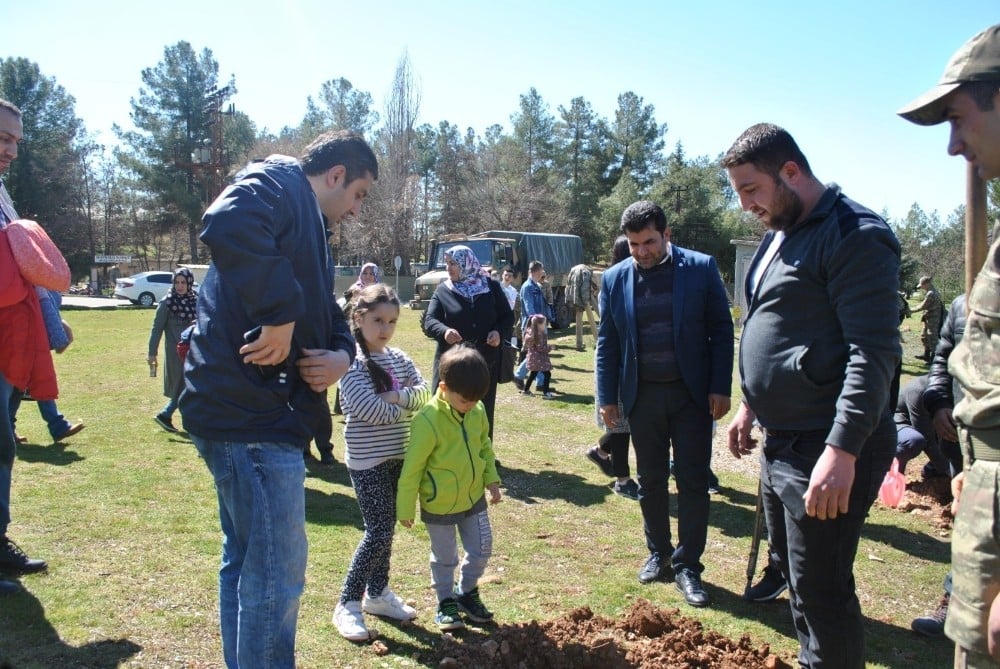 TEMA Vakfı Midyat’ta 300 fidanı toprakla buluşturdu 
