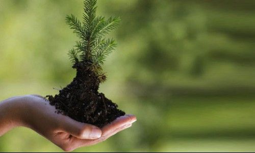 Malkara’da 250 fidan toprakla buluştu