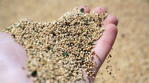 Temizel: Kinoayı İran pazarına sokmanın gururunu yaşıyoruz