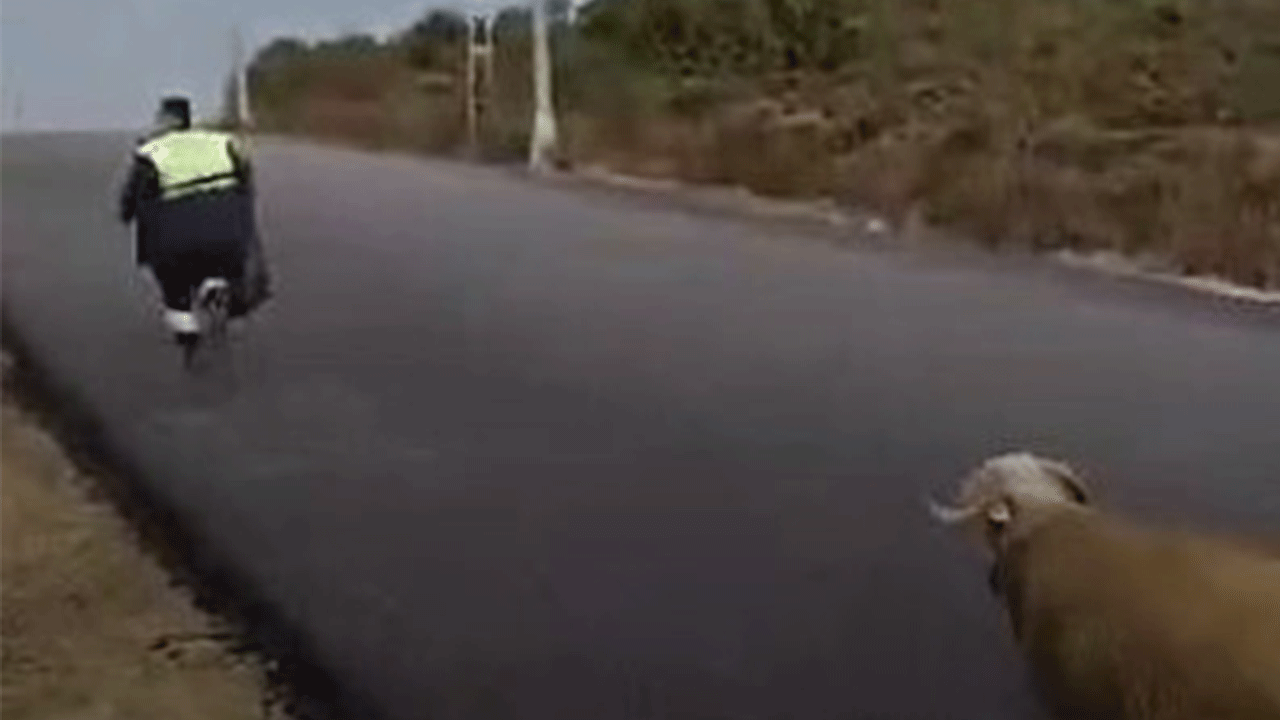 Temizlik işçilerinin koçla imtihanı!