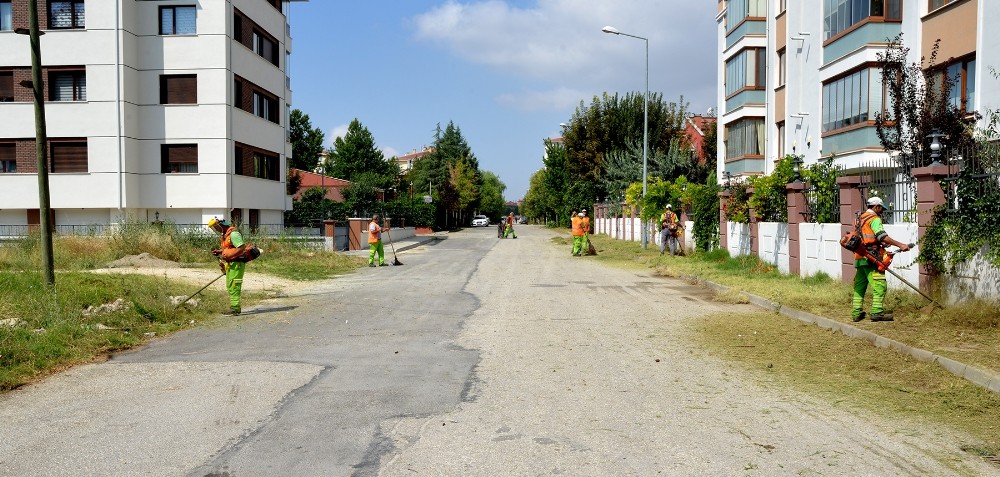 Tepebaşı’nda yabani ot temizliği sürüyor 