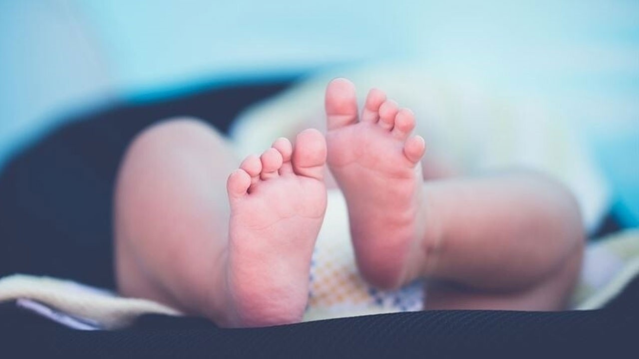 Tepetaklak gidiyorlar! ABD’de doğurganlık bayır aşağı