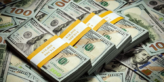 Tepki çeken açıklama: Dolar hemen 25 lira olmalı