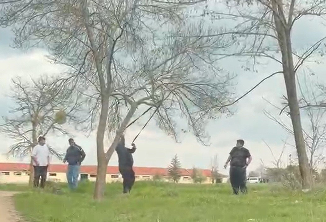 Tepki çeken görüntü! Mangal için ağacın dalını böyle kırmaya çalıştılar