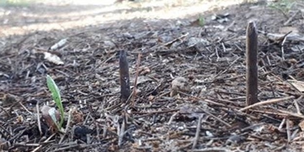 Tepki çekti! Vatandaşlara 'Ölüm tuzağı'