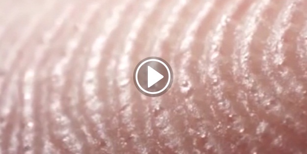 Ter gözeneklerinin hayran bırakan yakın çekim görüntüsü!