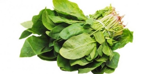 Tere saç dökülmesini önlüyor!