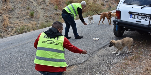 Terk edilen hayvanlara yiyecek bıraktılar
