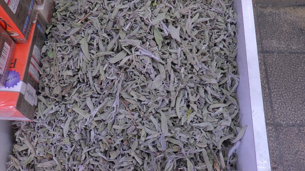 Terleme sorununa karşı bitkisel çözüm! En pahalı deodoranttan daha etkili