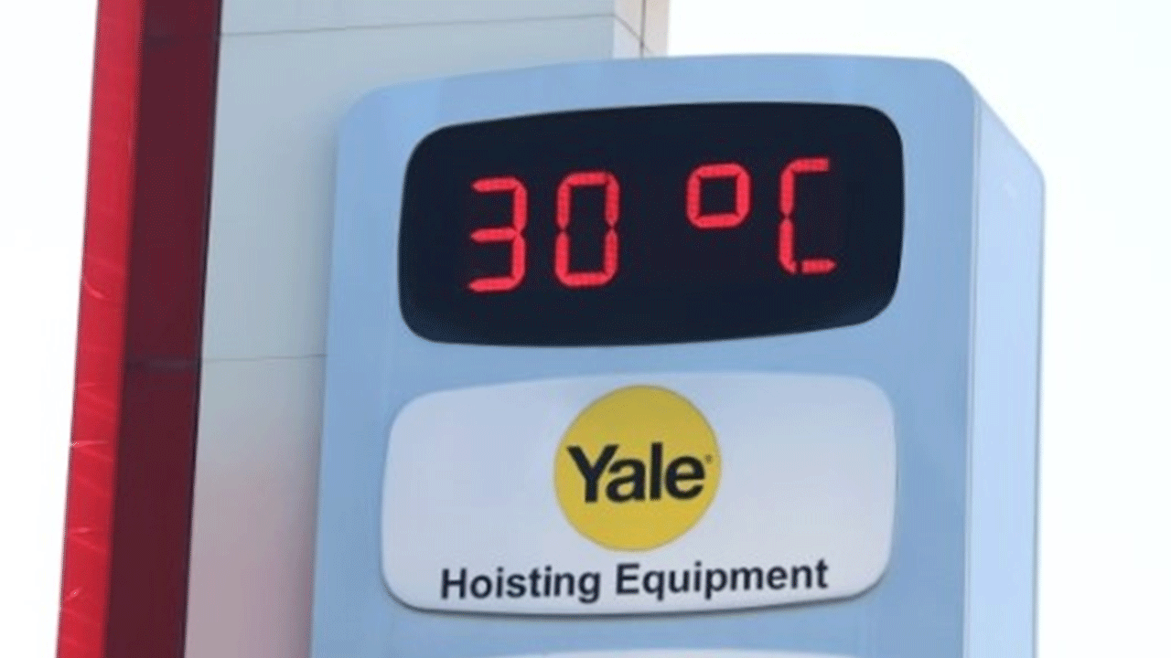 Termometre 30 dereceyi gösterdi! Herkes donarken onlar güneşin tadını çıkardı!