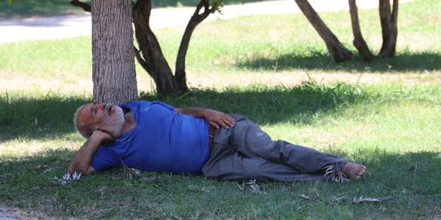 Termometreler 46 dereceyi gösterdi! Gölgede uyuyakalan vatandaşı öldü sandılar