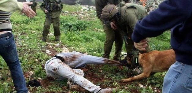 Terör devleti İsrail'den KÖPEK'çe itiraf