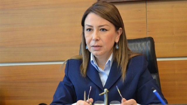 Terör örgütleriyle mücadelede 'kararlılık' mesajı