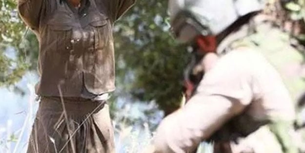 Terör örgütü PKK hızla çöküyor! Sayı 81’e ulaştı